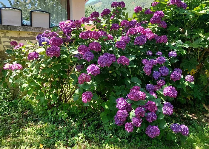 Puente Canto De GredosCasa Rural